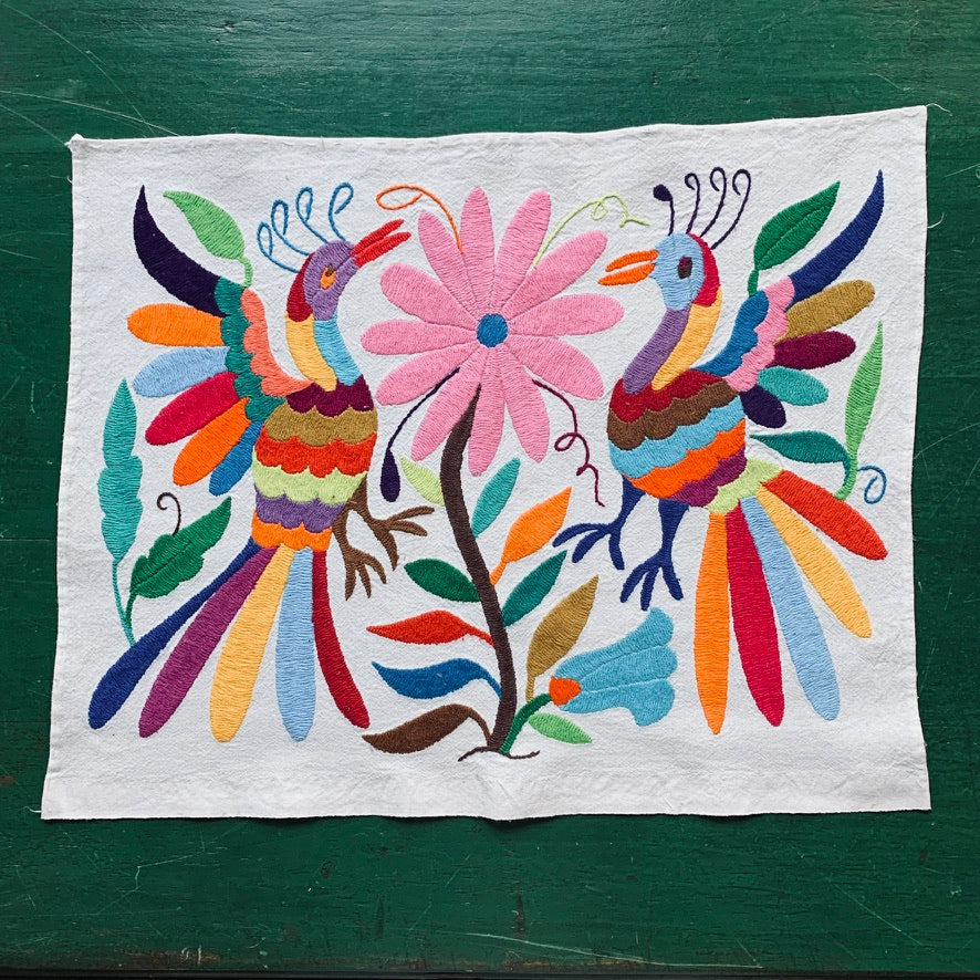 Otomi Hand Embroidered Placemats, Multi-colored | Zinnia Folk Arts