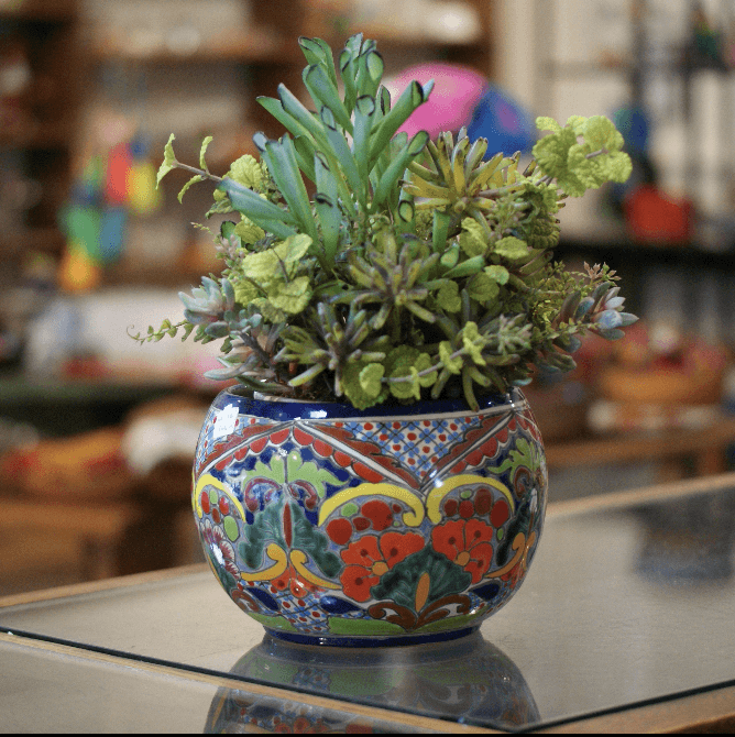 http://zinniafolkarts.com/cdn/shop/files/special-order-round-flower-pots-medium-pots-and-vases-zinnia-folk-arts-882014_1024x1024.png?v=1700159694