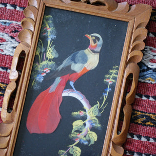 Vintage Feather Paintings  Zinnia Folk Arts   