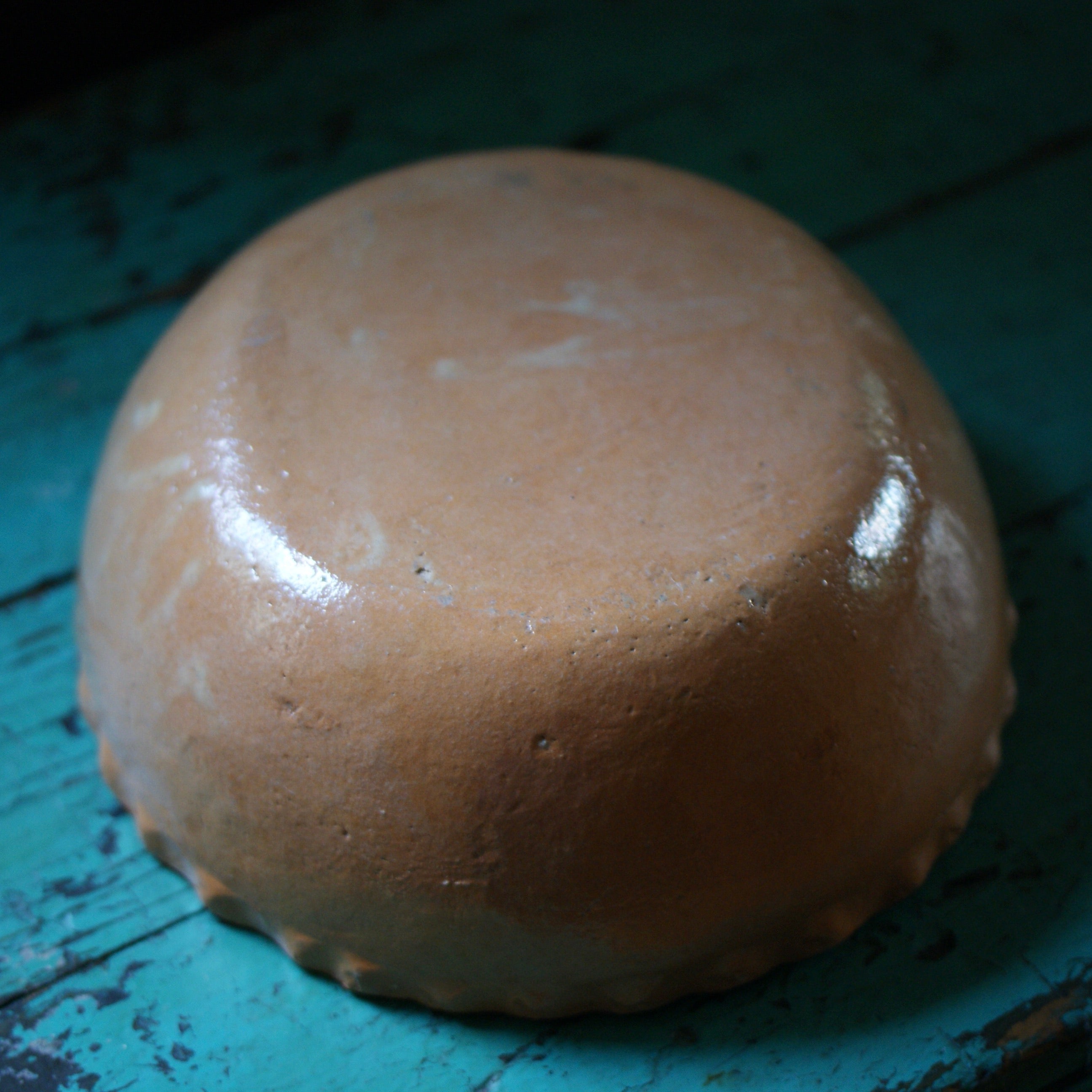 Charming Tlaquepaque Cactus Clay Bowl  Zinnia Folk Arts   