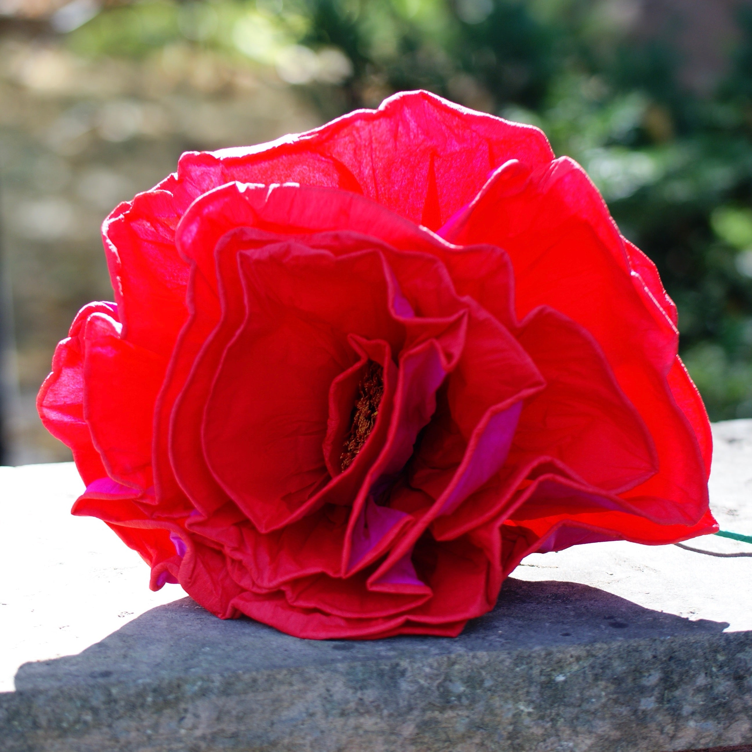 Giant Mexican Paper Flowers Fiesta Zinnia Folk Arts Red with Pink  