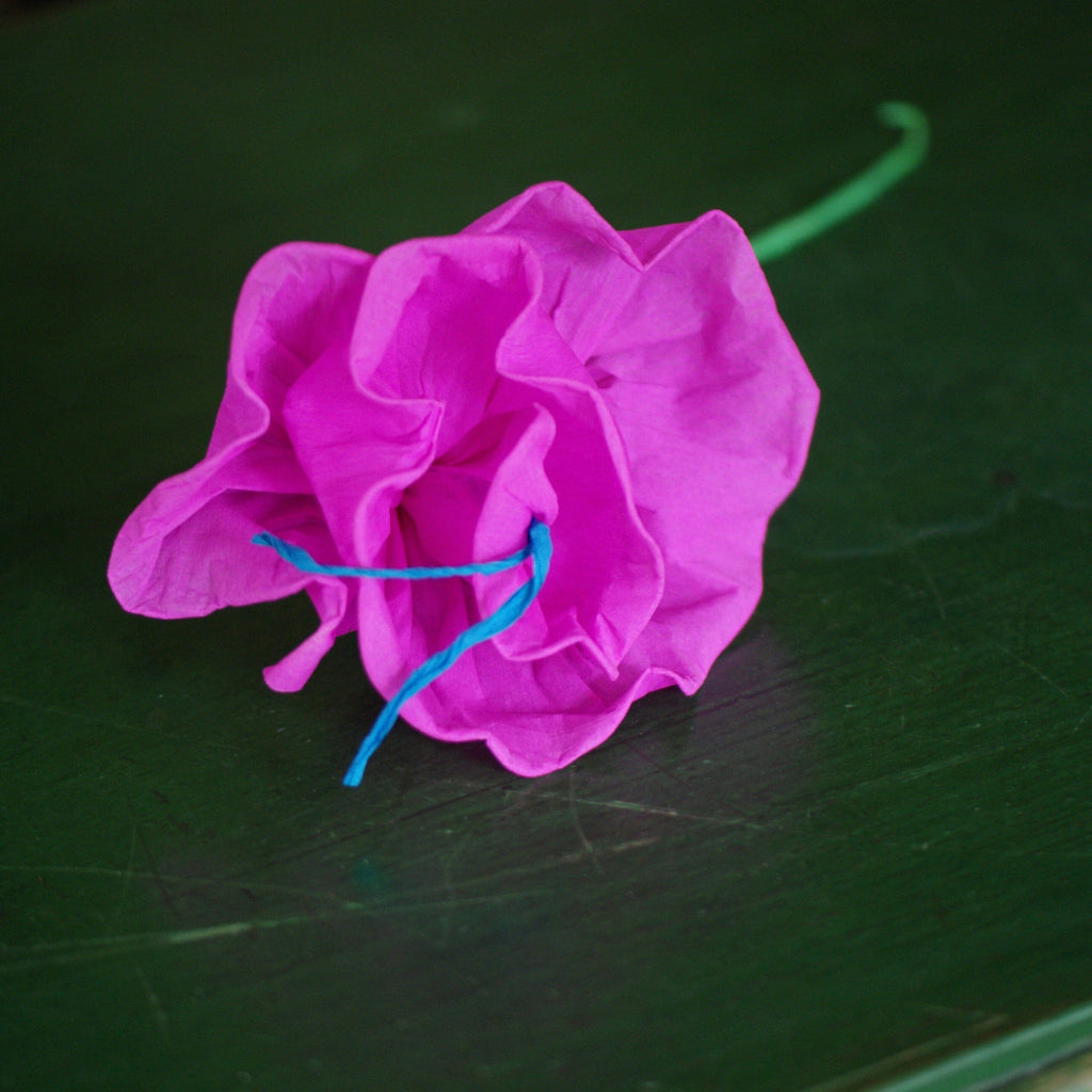 Rolled Edges Paper Flowers Fiesta Zinnia Folk Arts Deep Pink  