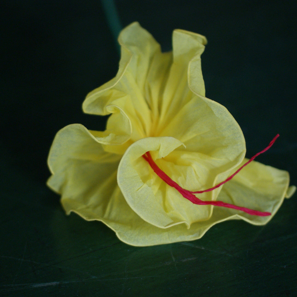 Rolled Edges Paper Flowers Fiesta Zinnia Folk Arts Lemon Yellow  