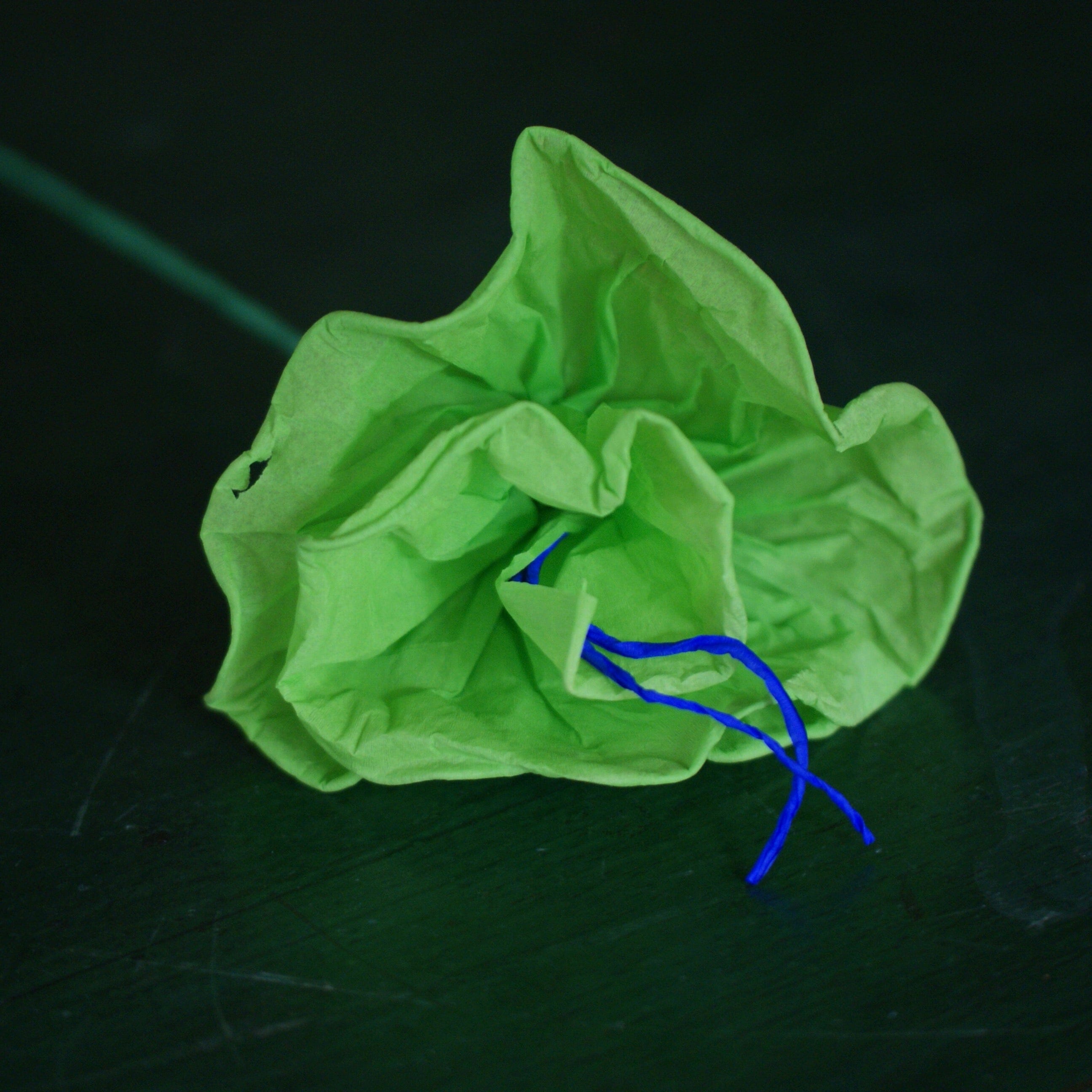 Rolled Edges Paper Flowers Fiesta Zinnia Folk Arts Lime Green  