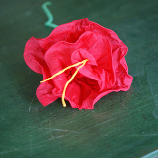 Rolled Edges Paper Flowers Fiesta Zinnia Folk Arts Red  