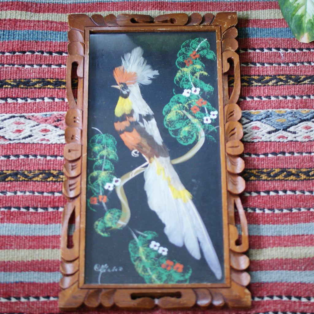 Vintage Feather Paintings  Zinnia Folk Arts Black background #4  