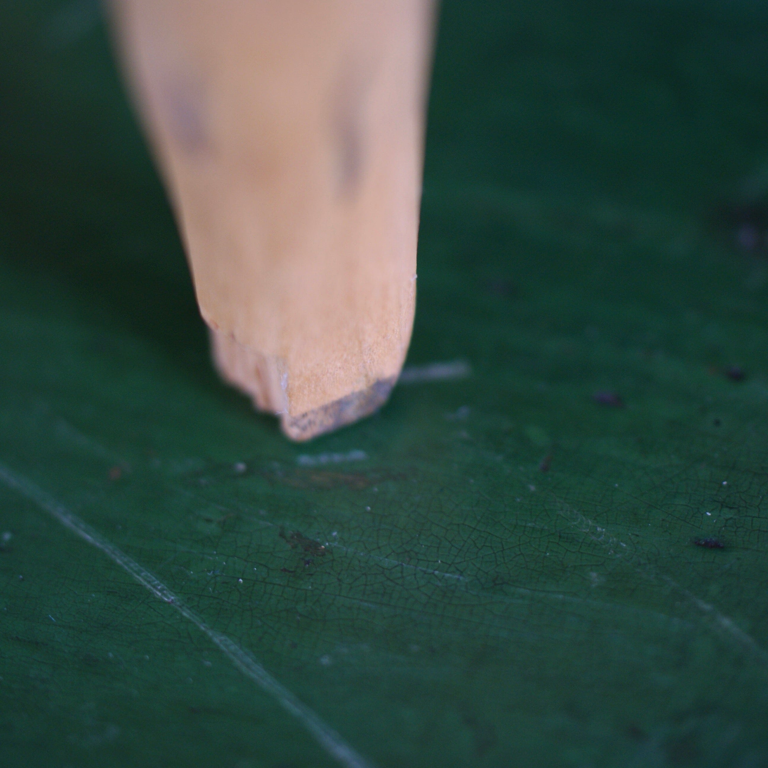 Vintage Oaxaca Animal Wood Carvings, Medium  Zinnia Folk Arts   